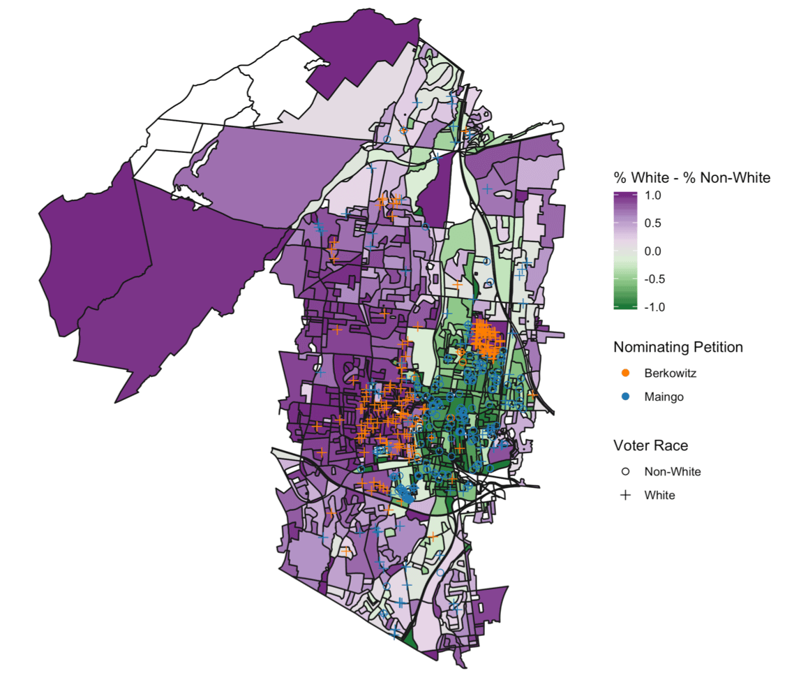 Voting demographics image