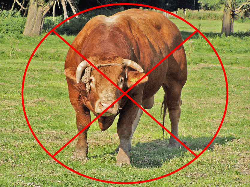 A photo of a bull with an X through it.